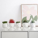 ��ǰ�̹���